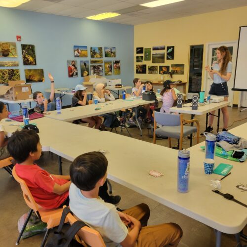 Youth Environmental Leadership Camp (YELC) Launch Reminder