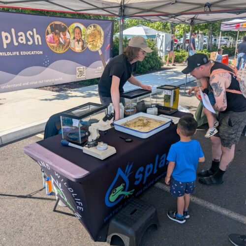 Splash in the Community: A Look Back at Few of Our Favorite Tabling Events