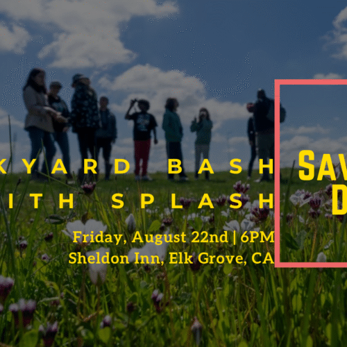 Sneak Peek: Backyard Bash for Splash