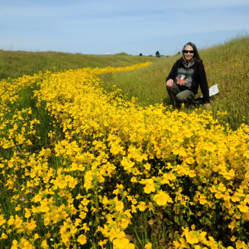 Featured Story: Welcome, Mary Maret, to the Splash Board!