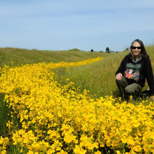 Featured Story: Welcome, Mary Maret, to the Splash Board!