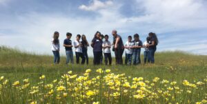 Group of students with a Field Guide, checking out a vernal pool surrounded by yellow and white Hawkbit flowers.