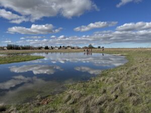 Mather Field Vernal Pools with student field trips
