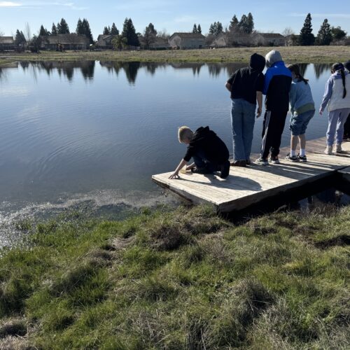 Investigating Vernal Pools is Inspiring the Next Generation—One Scoop at a Time