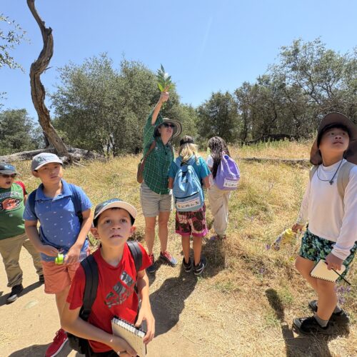 YELC Applications Open January 5: What Families Need to Know