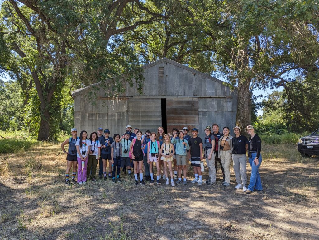 PXL_20240607_173541643-1