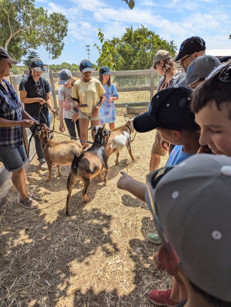 PXL_20240620_212109017