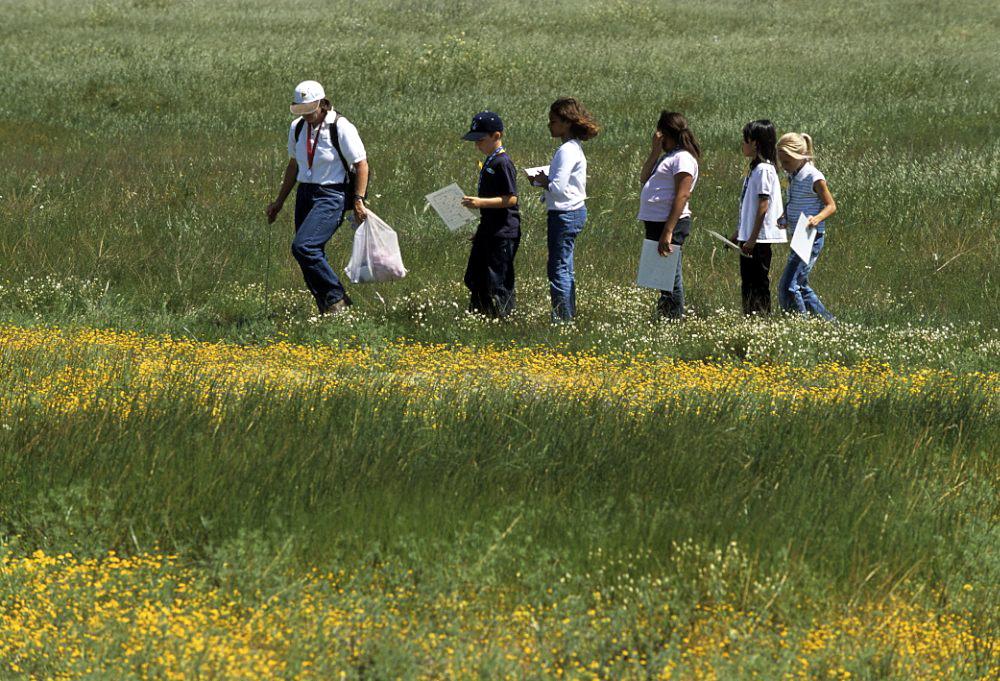 Programs_IVP_FieldTrip_Outside_Flower1