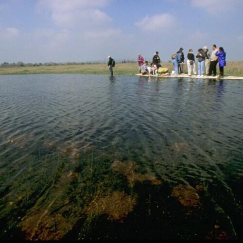 Fall 2025 Homeschool **NEW** Program Announcement: Pre-Registration is Open