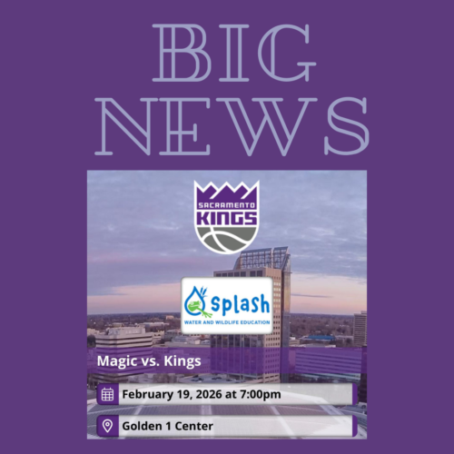 Big News: Sacramento Kings Ticket Fundraiser Benefiting Sacramento Splash