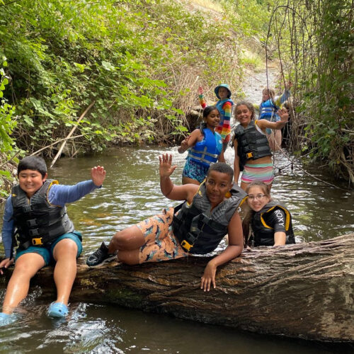 Share your Splash Memories