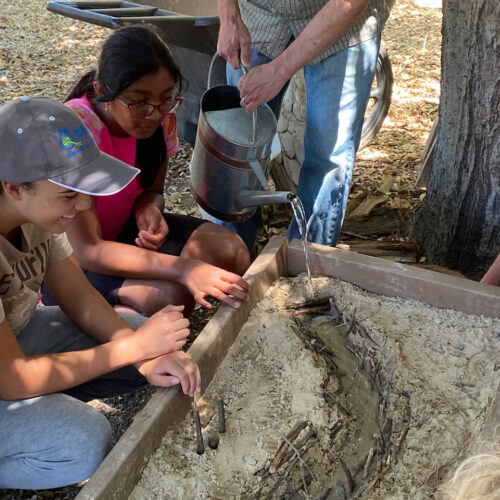 YELC: A Summer Camp Sensation