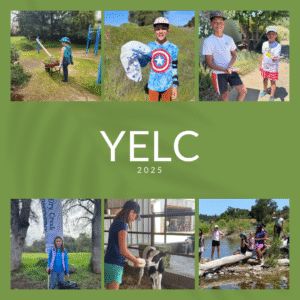 YELC