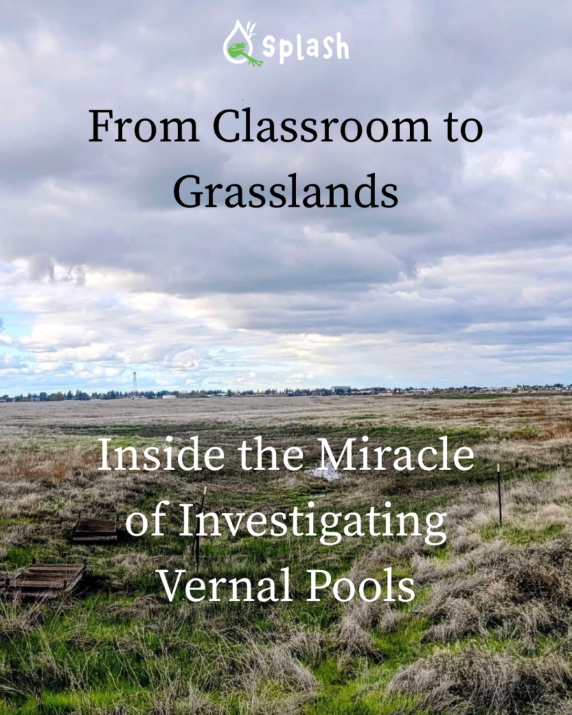 From Classroom to Grasslands: Inside the Miracle of Investing Vernal Pools
